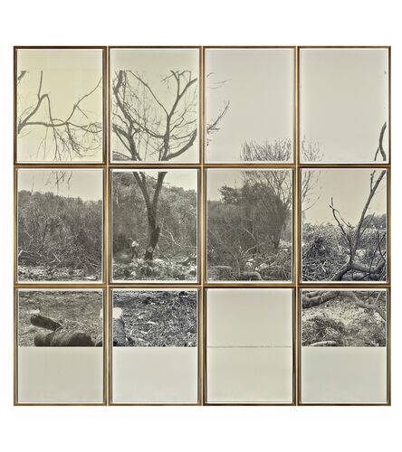 Jerry B. Martin, ‘Indented Landscape’, 2011