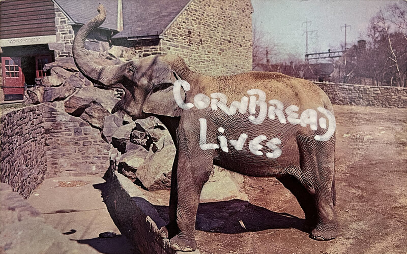 Cornbread, ‘Burma, The Indian Elephant at America's First Zoo Postcard’, 2021, Drawing, Collage or other Work on Paper, Acrylic paint on vintage postcard, Paradigm Gallery + Studio