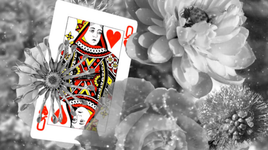 Good Luck (Flora)