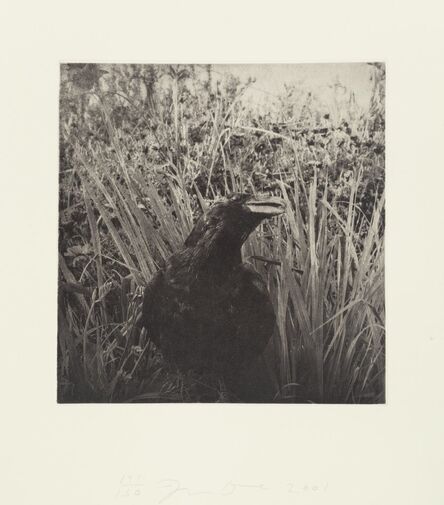Jim Dine, ‘Birds’, 2001
