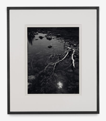 Ansel Adams, ‘Branch and Creek’, 1947