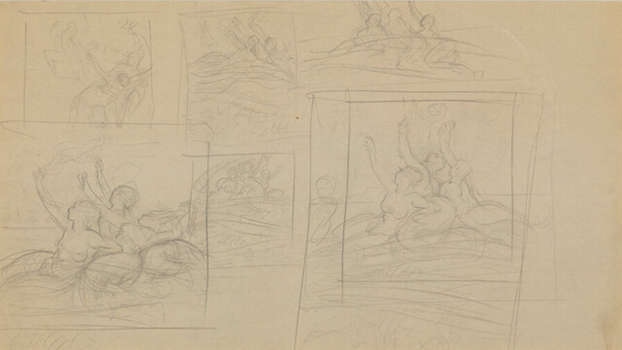Swan Studies