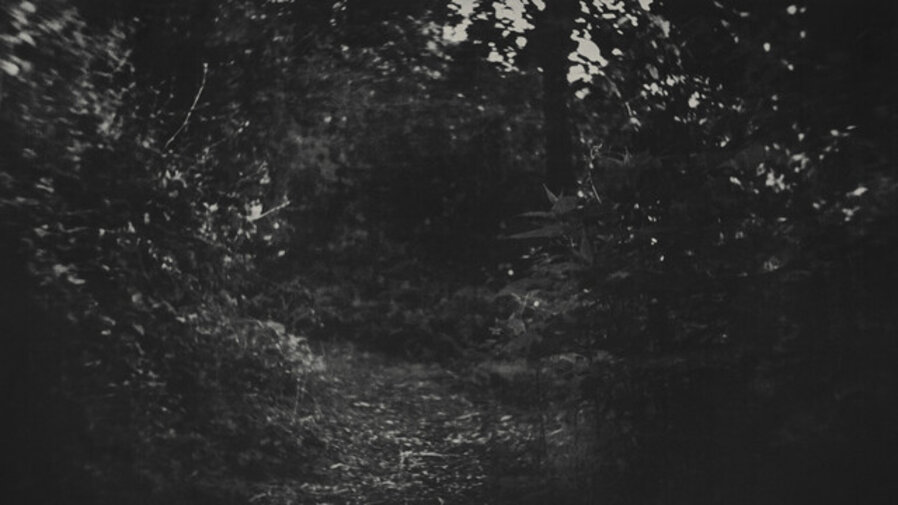 The Trail 3