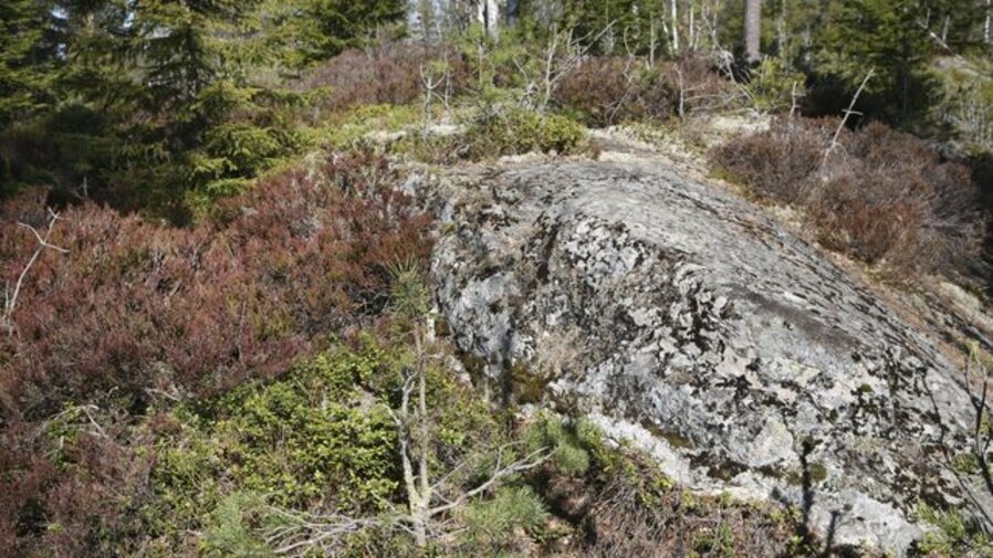 Mineral Rights