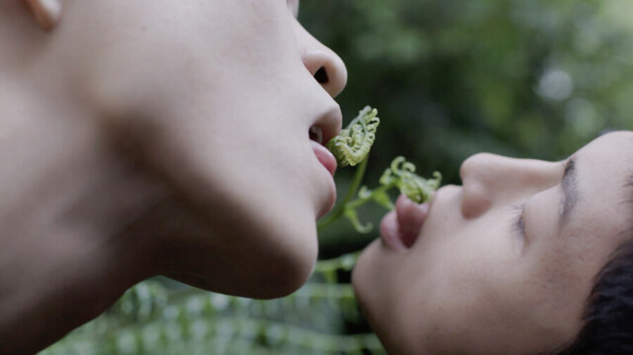Zheng Bo, Pteridophilia, 2016 ongoing, video/film, © courtesy of the artist;