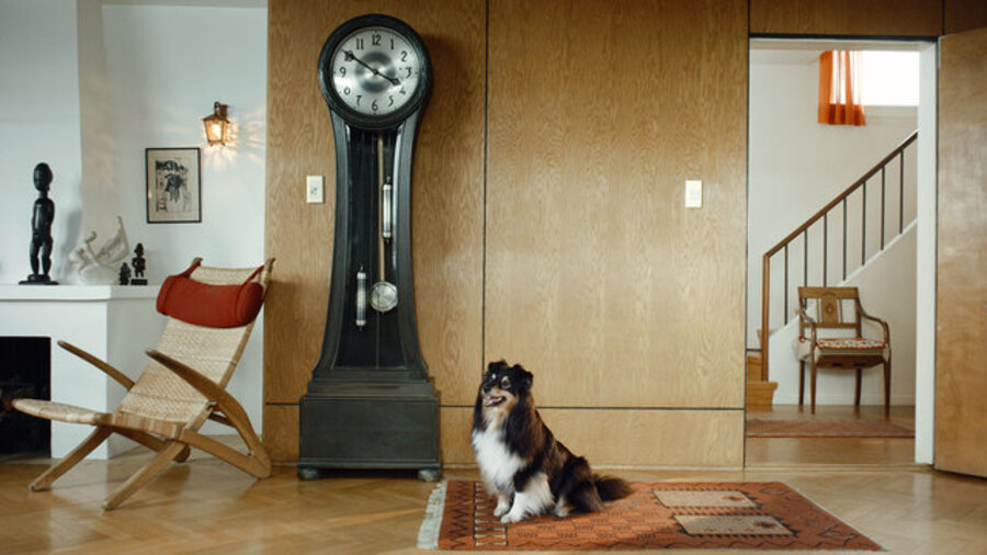 Scenes from Western Culture, Dog and Clock