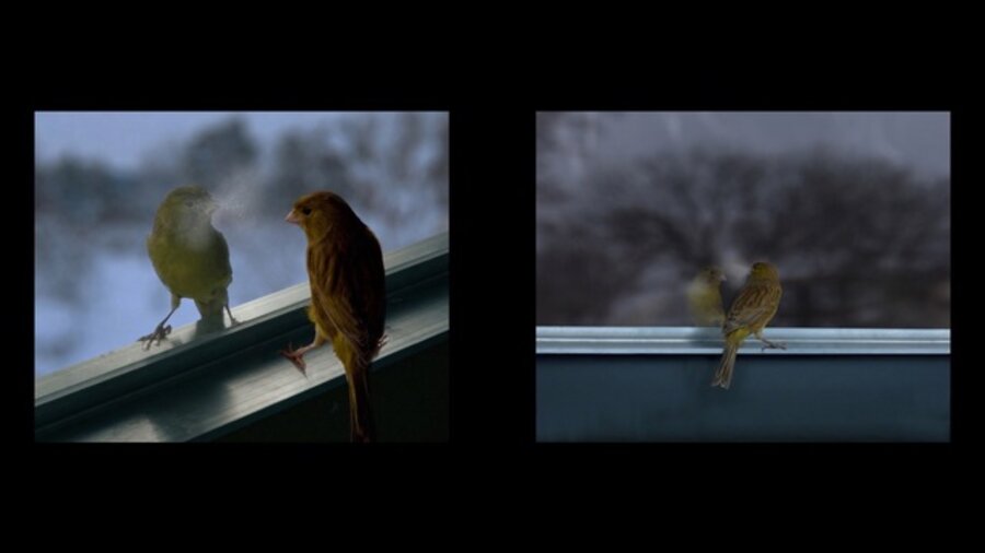 Breathing Bird