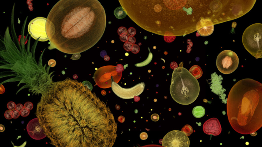 Untitled (Flying Fruits)