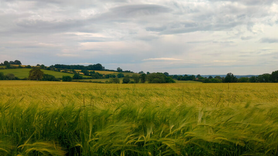 Reconstructed Landscape{s} – Hidcote Bartrim (i0)