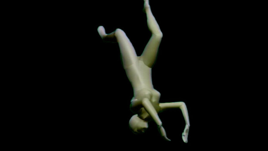 Swimmer