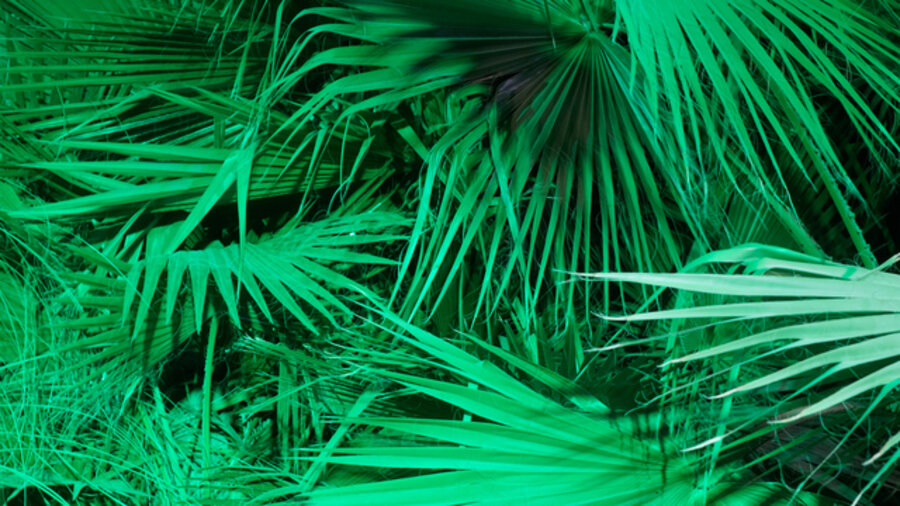 Green Storm 3