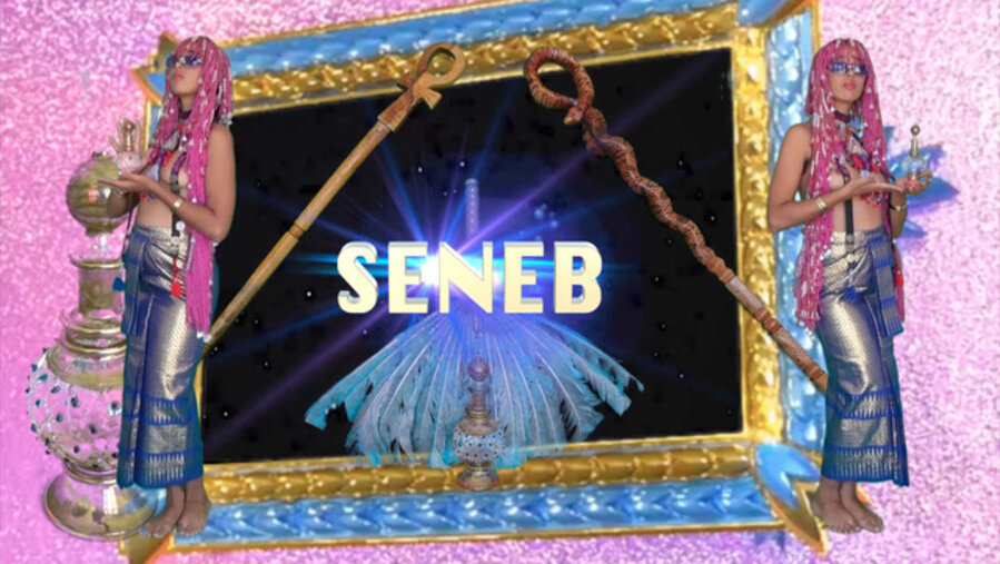 SENEB