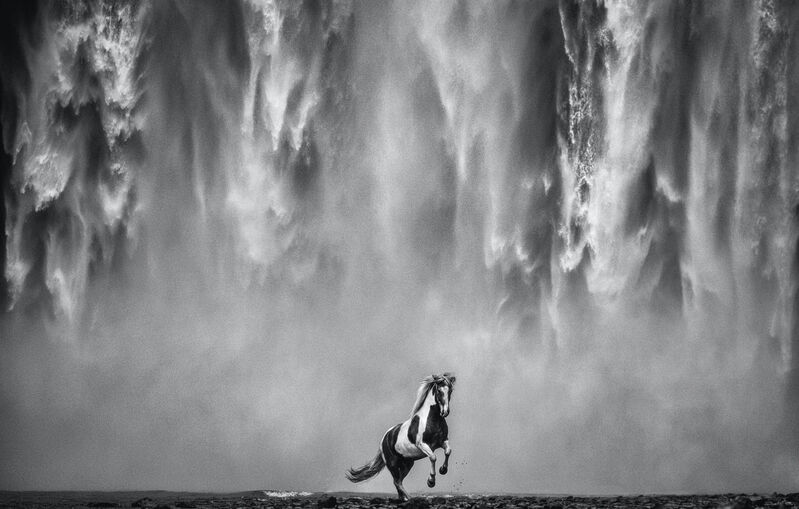 David Yarrow, ‘Legends of the Fall’, 2020, Photography, Archival Pigment Print, Hilton Asmus