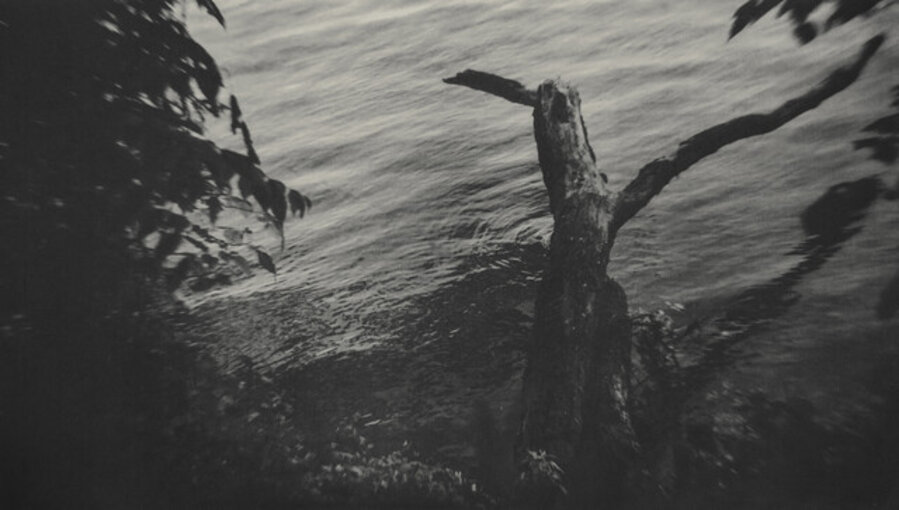 The Trail 5