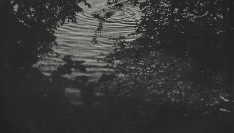The Trail 1
