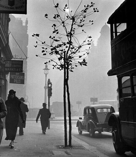 Wolfgang Suschitzky, ‘84 Charing Cross Road, London (Marks & Co)’, 1937