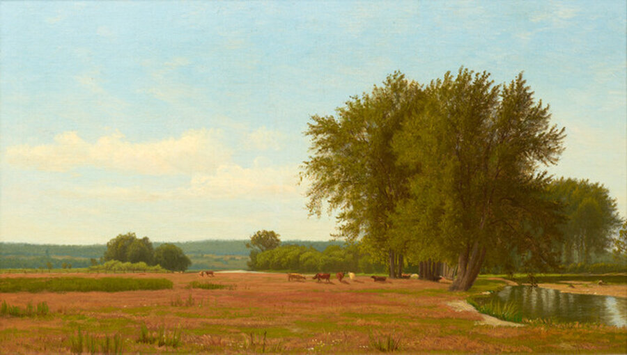 Summer Landscape