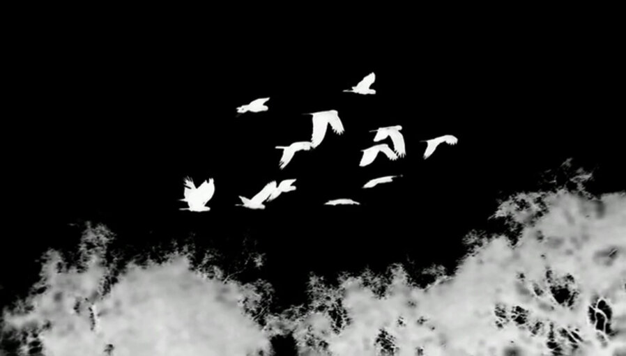 Tracking
