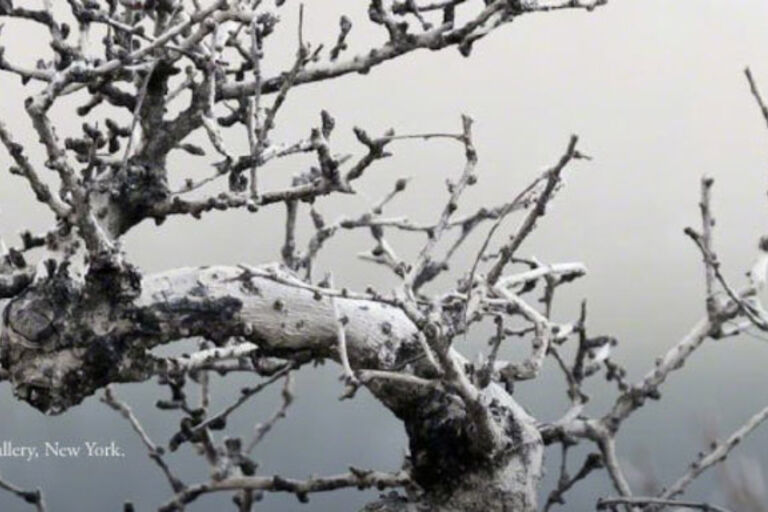 Art Basel Hong Kong 2013