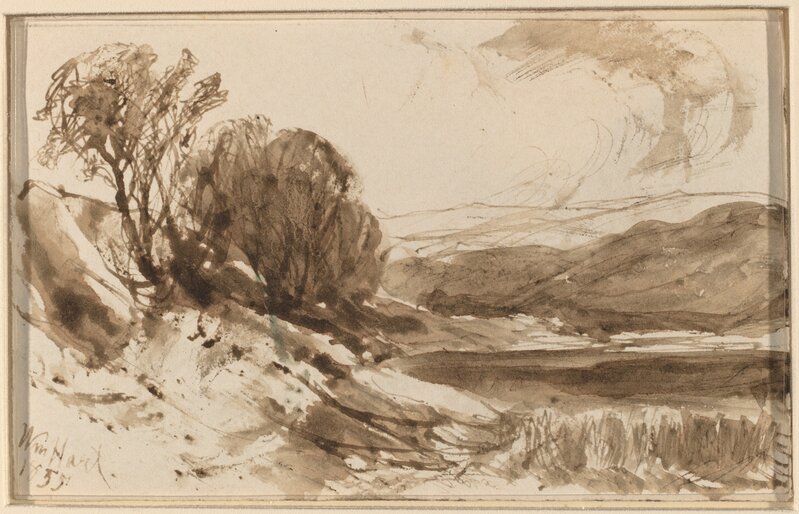 William M. Hart, ‘Hilly Landscape with Trees’, 1855, Drawing, Collage or other Work on Paper, Pen and brown ink with brown wash, National Gallery of Art, Washington, D.C.