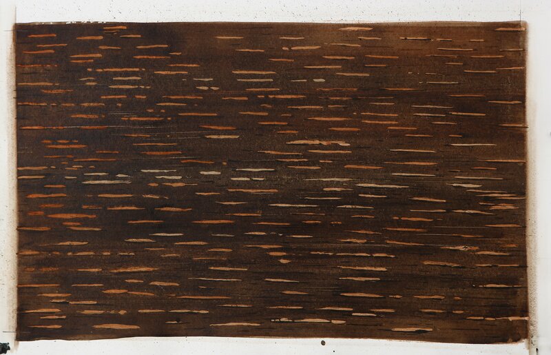 Scott Kelley (b. 1963), ‘Dark Birchbark ’, Painting, Watercolor and gouache on paper, Dowling Walsh