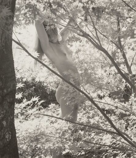 Ruth Bernhard, ‘Among the Leaves’, 1971-printed later