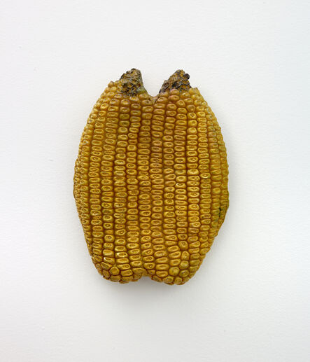 Musa paradisiaca, ‘Milho (Corn)’, 2019