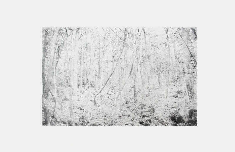 Genevieve Chua, ‘She was here before #7’, 2012, Print, Screen print with graphite and volcanic rocks on BFK Rives, STPI