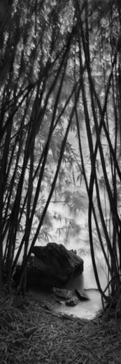 Wenlong Ye, ‘Mountains and waters’, 2019