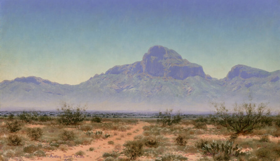 Arizona Landscape