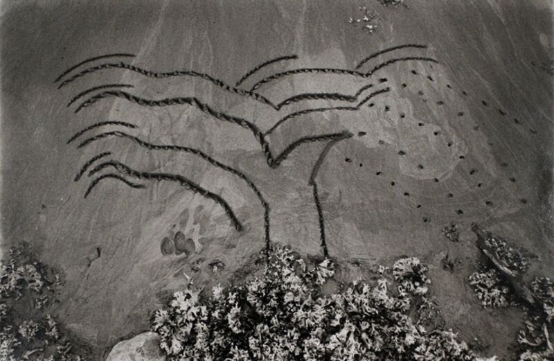 John Wood, ‘Beach Drawing’, 1983, Photography, Gelatin silver print, Bruce Silverstein Gallery