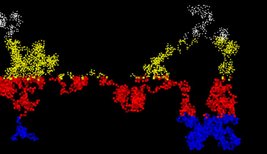 Pollock Colored Strips