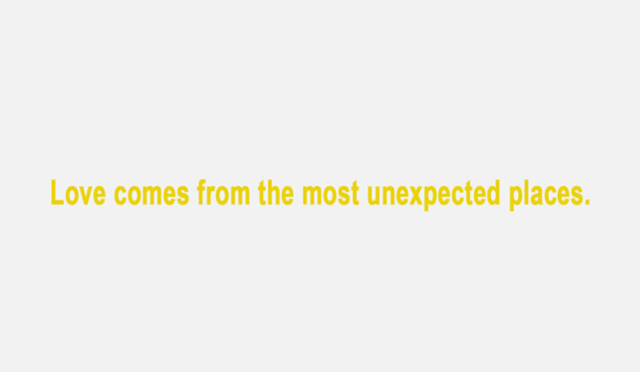Golden sentence (Love comes from the most unexpected places.)