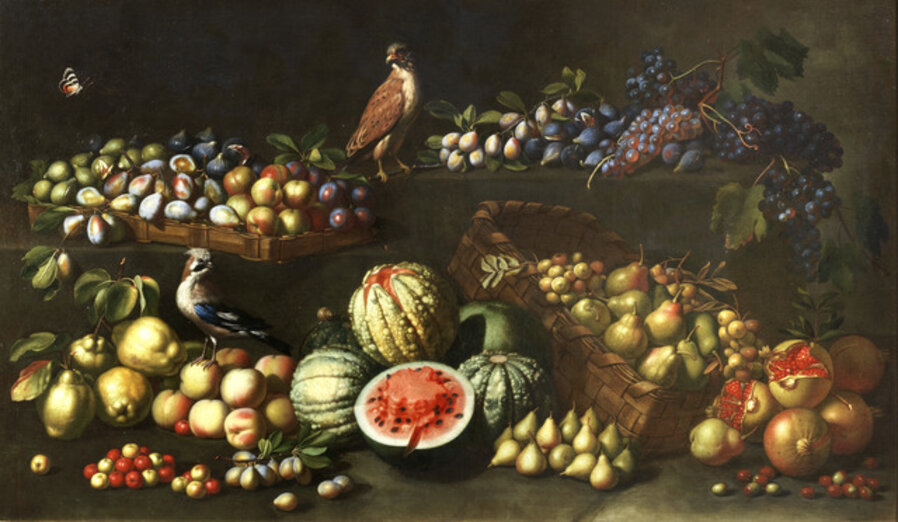 Still life with fruit, a jay, a kestrel, a butterfly and a snail