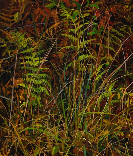 Claire Sherman, ‘Ferns and Grass’, 2020