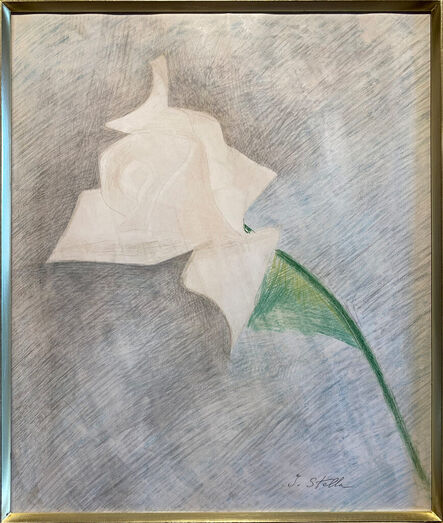 Joseph Stella, ‘White Rose’, ca. 1940