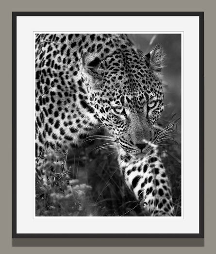 Araquém Alcântara, ‘Leopard, Tanzania, Africa’, 2009