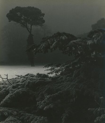 Bill Brandt, ‘Frost Morning In the Park, Chiswick House Gardens’