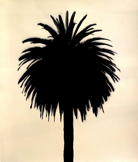 Robert Stivers, ‘Palm Tree (black/oof)’, 2019