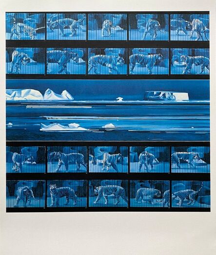 Jacques Monory, ‘Dream tiger No 4’, 1972