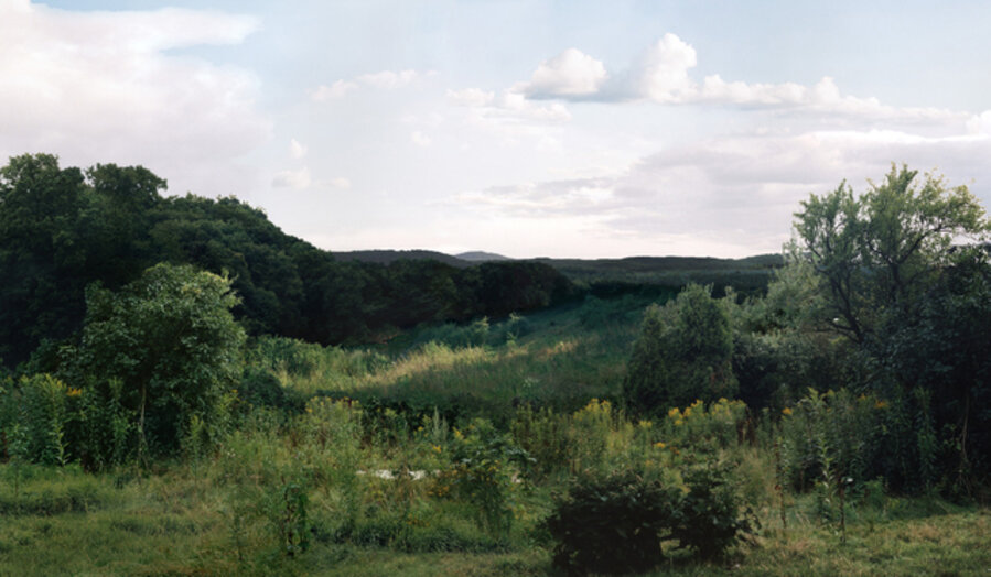 LS #5