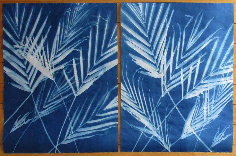 Tom Fels, ‘Palms 2-28-19— 1 & 3 ’, 2019, Photography, Unique cyanotype diptych, Atlas Gallery