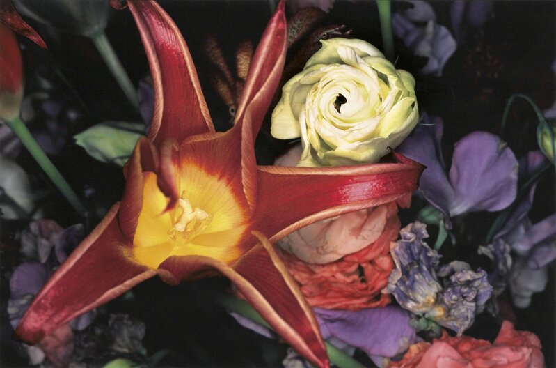 Nobuyoshi Araki, ‘Flower Rondeau’, 1990s, Photography, Cibachrome print, Christie's