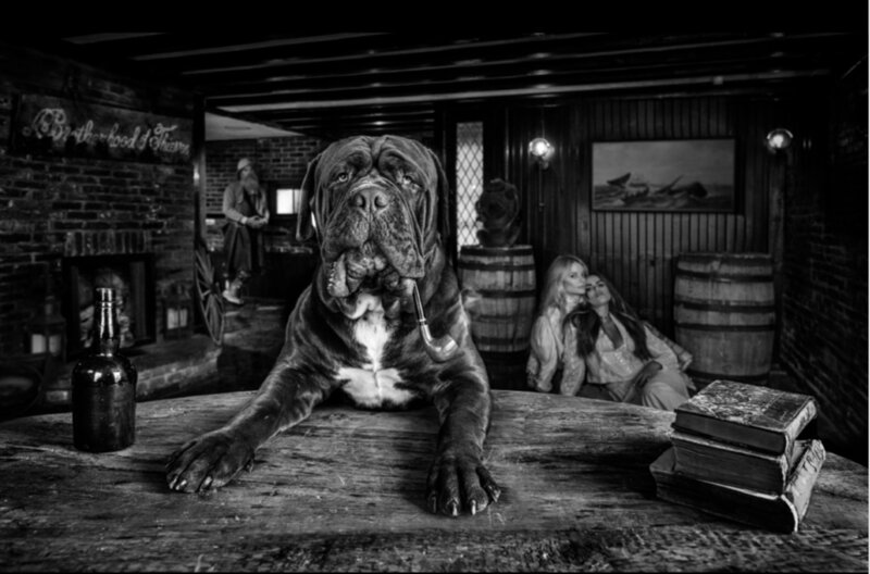 David Yarrow, ‘The Dogfather’, 2022, Photography, Archival Pigment Print, Samuel Lynne Galleries