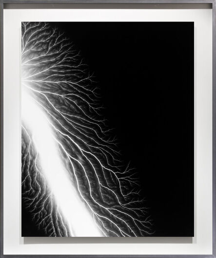Hiroshi Sugimoto, ‘Lightning Fields 222’, 2009