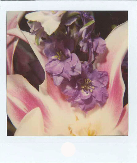 Nobuyoshi Araki, ‘Flower polaroid’, 2000-2004