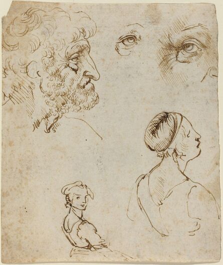 Leonardo da Vinci, ‘Sheet of Studies [recto]’, Probably 1470/1480