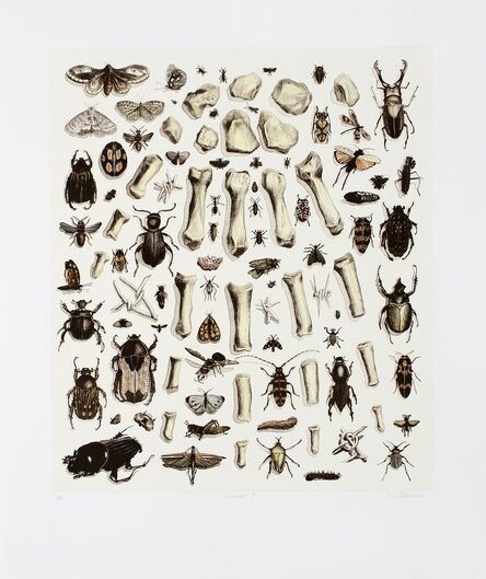 Walter Oltmann, ‘Collected I’, 2012