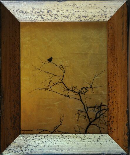 Kate Breakey, ‘Single Bird in Tree [Ref. #48]’, 2015