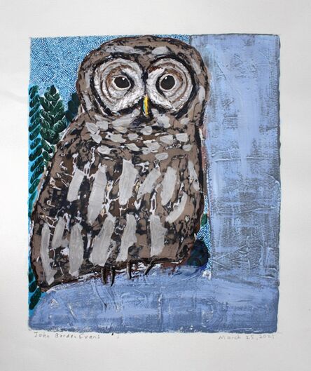 John Borden Evans, ‘Barred Owl (Abide)’, 2021